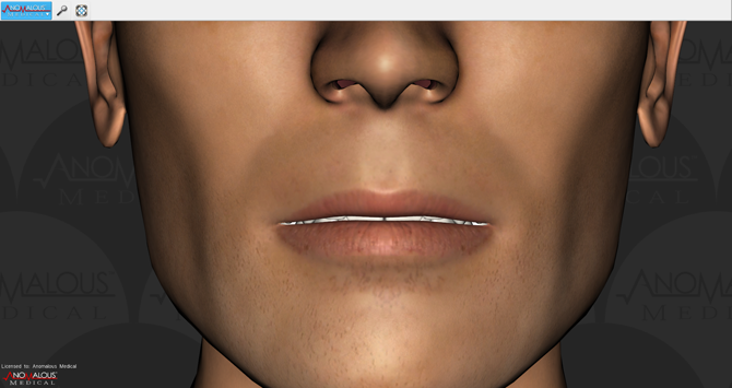 Mouth Anatomy with skin